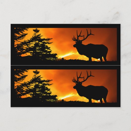 Elk en bosbrandmerken briefkaart (Voorkant)