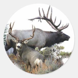 Elk en muilhert ronde sticker