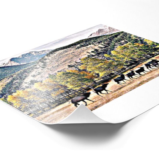 Elk Fest Foto Afdruk (Hoek)