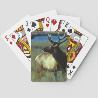 Elk fietspatbord pokerkaarten
