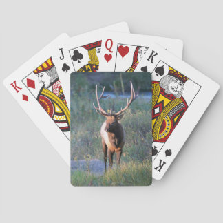 Elk fietspatbord pokerkaarten