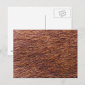 Elk fur briefkaart (Voorkant / Achterkant)