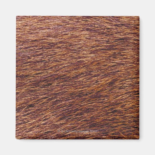 Elk fur magneet (Voorkant)