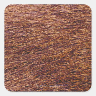 Elk fur vierkante sticker