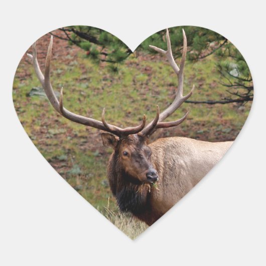 Elk Heart Sticker (Voorkant)