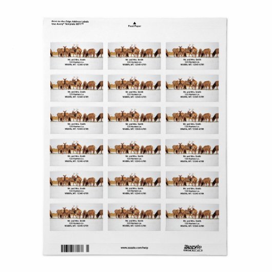 Elk Herd-adreslabel Etiket (Full Sheet)