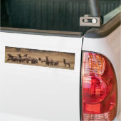 Elk Herd Background Bumpersticker (Op Truck)