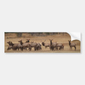 Elk Herd Background Bumpersticker (Voorkant)