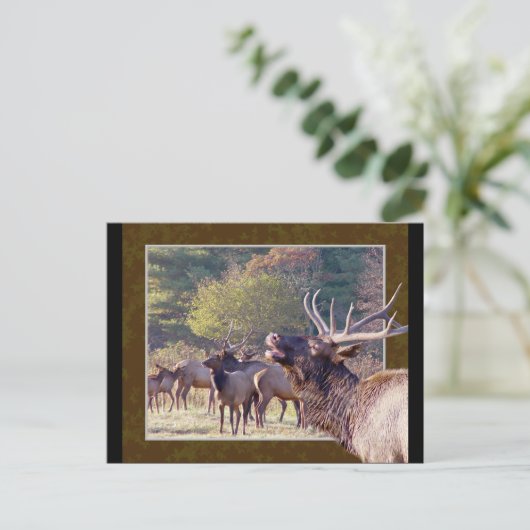 Elk Herd Briefkaart 2 (Staand voorkant)