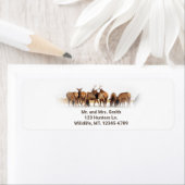 Elk Herd Fering Return Address Label (Insitu)