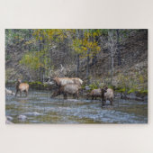 Elk Herd in de Big Thompson rivier Legpuzzel (Horizontaal)