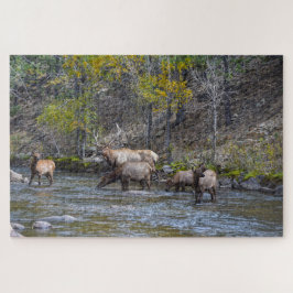 Elk Herd in de Big Thompson rivier Legpuzzel