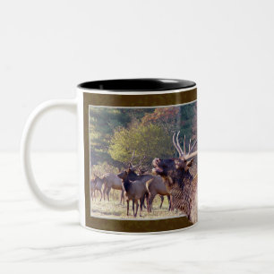 Elk Herd Mok