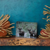 Elk Herd | Mt. Baring, Washington Fotoplaat (Zijkant)