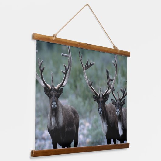 Elk Herd | Mt. Baring, Washington Hangend Wandkleed (Gebogen)