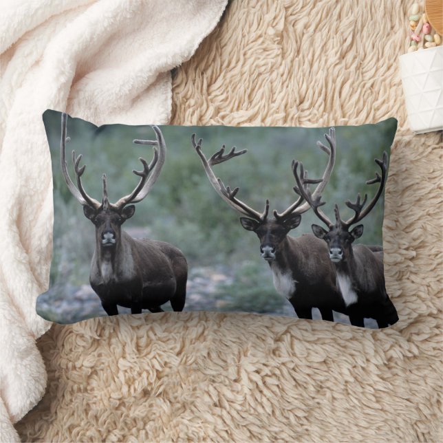 Elk Herd | Mt. Baring, Washington Kussen (Deken)