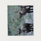 Elk Herd | Mt. Baring, Washington Wandkleed (Voorkant)
