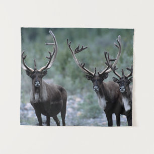 Elk Herd Mt. Baring, Washington Wandkleed