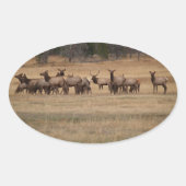 Elk Herd Oval Sticker (Voorkant)