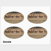 Elk Herd Oval Sticker (Vel)