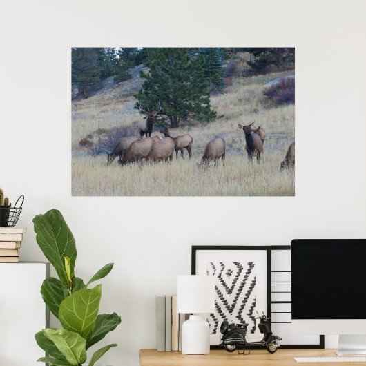 Elk Herd Poster (Thuiskantoor)