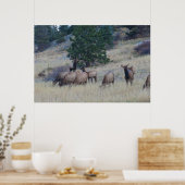 Elk Herd Poster (Keuken)