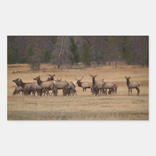 Elk Herd Rectangle Sticker (Voorkant)