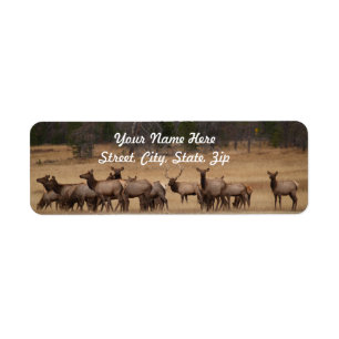 Elk Herd Retouradres Sticker