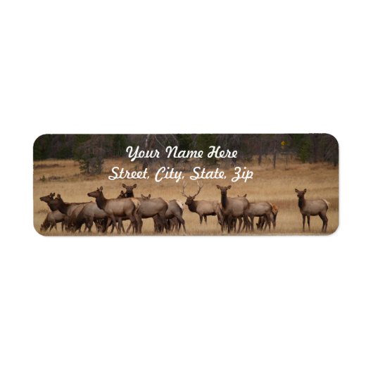 Elk Herd Retouradres Sticker (Voorkant)