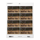 Elk Herd Verzendlabel (Full Sheet)