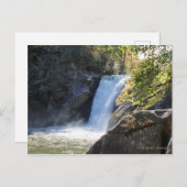 Elk Herfst, in Blue Ridge Mountains North Carolina Briefkaart (Voorkant / Achterkant)