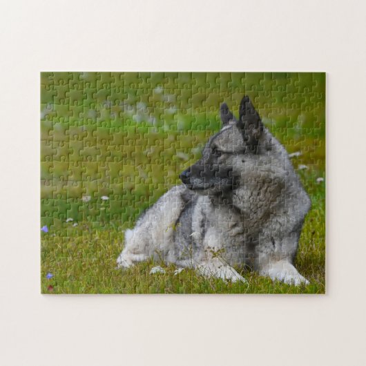 Elk Hound Dog. Legpuzzel (Horizontaal)