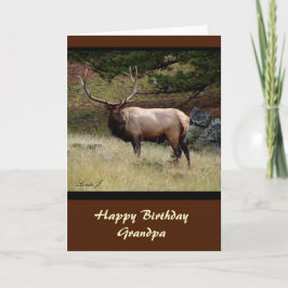 Elk in de Wild Kaart