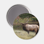 Elk in de Wild Magneet (Voorkant / Achterkant)
