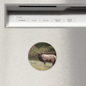 Elk in de Wild Magneet (Insitu (Vaatwasser))