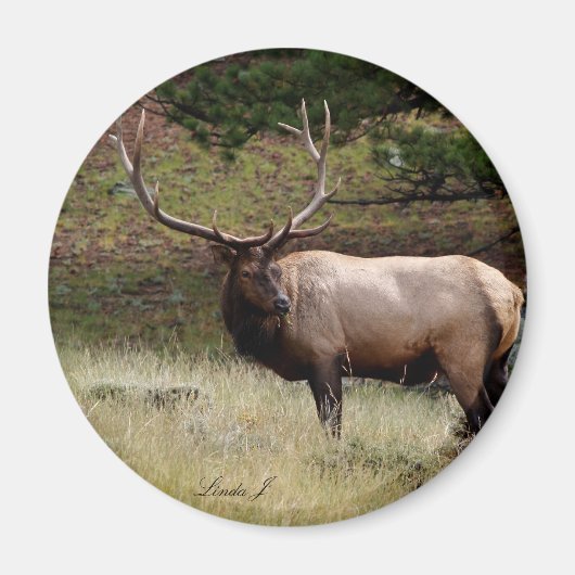 Elk in de Wild Magneet (Voorkant)