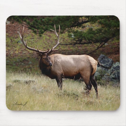 Elk in de Wild Mousepad Muismat (Voorkant)