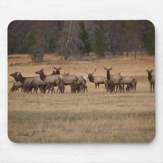Elk in de Wild Mousepad Muismat (Voorkant)