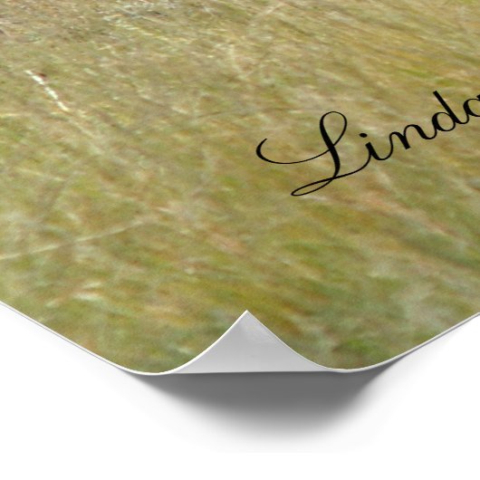 Elk in de Wild Poster (Hoek)