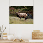 Elk in de Wild Poster (Keuken)