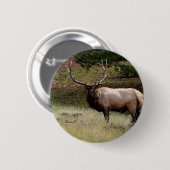 Elk in de Wild Ronde Button 5,7 Cm (Voorkant /achterkant)