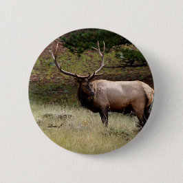 Elk in de Wild Ronde Button 5,7 Cm