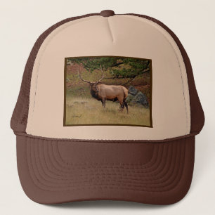 Elk in de Wild Trucker Pet