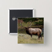 Elk in de Wild Vierkante Button 5,1 Cm (Voorkant /achterkant)