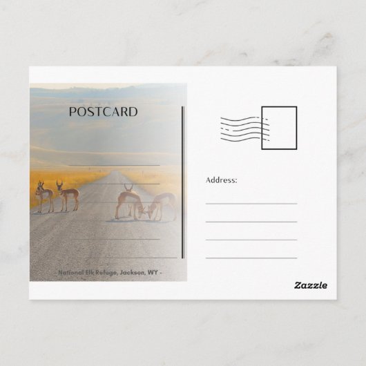 Elk in een veld Briefkaarten (Achterkant)