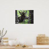 Elk in Estes Park Colorado Poster (Keuken)