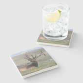 Elk in het nationale park Rocky Mountain Stenen Onderzetter (Zijkant)