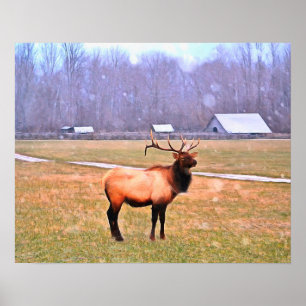 Elk in het Poster van de Grote Smoky