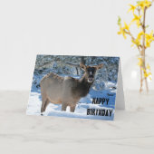 Elk in het Wenskaart Snow Happy Birthday Kaart (Gele Bloem)