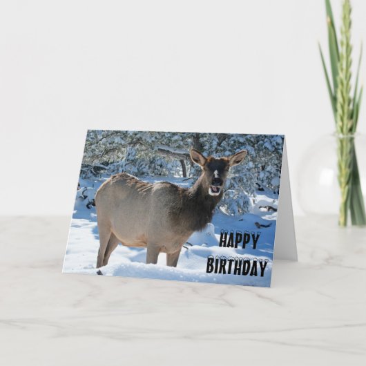Elk in het Wenskaart Snow Happy Birthday Kaart (Voorkant)